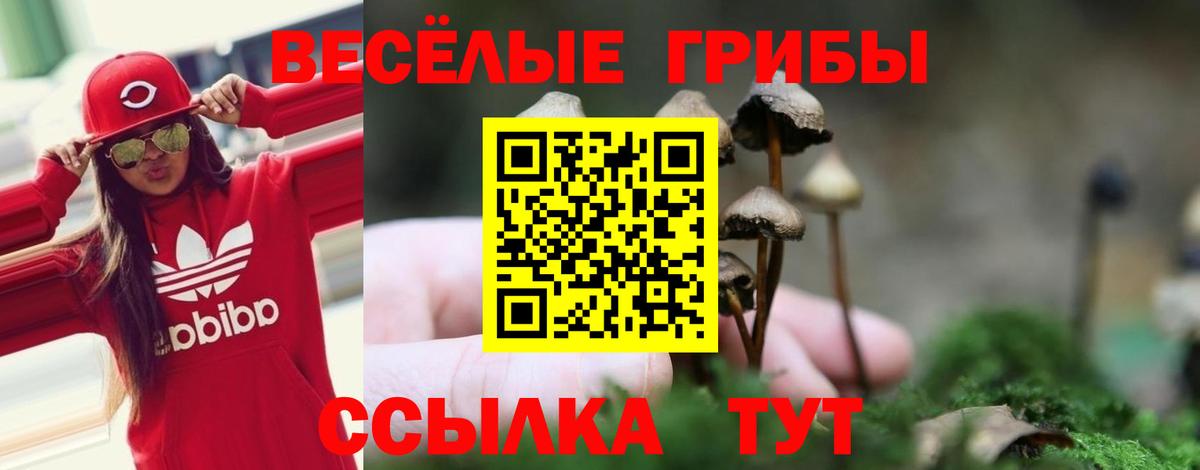 Псилоцибиновые грибы MAGIC MUSHROOMS  Вход с VPN  Мариинск 